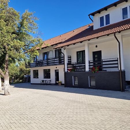 Casa 7 Sate Apartament Sacele Ngoại thất bức ảnh